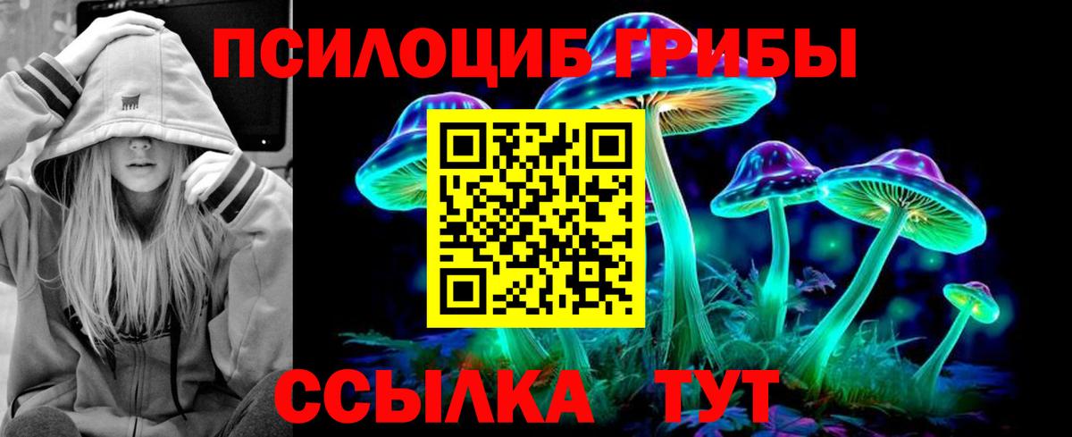 Галлюциногенные грибы GOLDEN TEACHER Северобайкальск